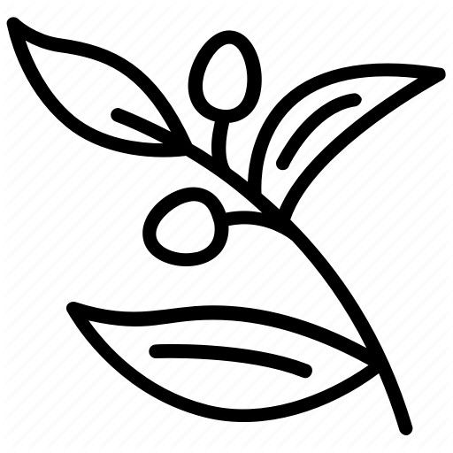 asd